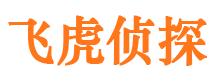 迎泽市侦探调查公司